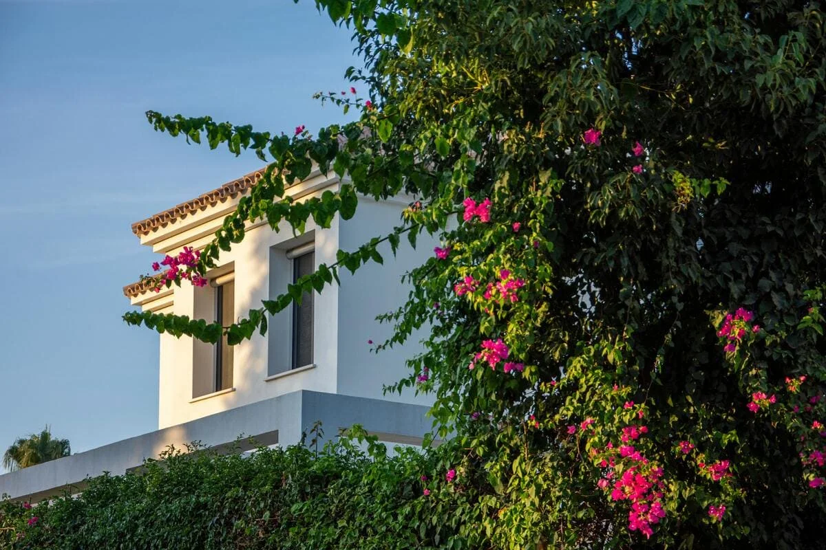 Administración Profesional en Marbella